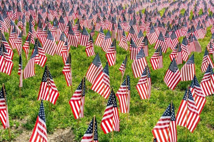 shutterstock_2139414921.jpg featured image Many American flags placed on green grass field