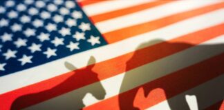 Donkey and elephant shadows on American flag background.