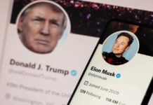Donald Trump and Elon Musk Twitter profiles displayed.