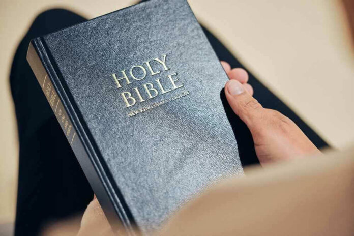 Person holding a Holy Bible