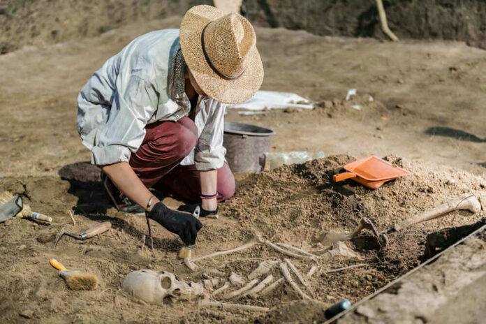 Archaeologist excavating skeletal remains at an archaeological site.