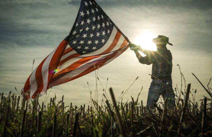 Person holding an American flag against a sunset backdrop