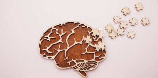 Wooden brain illustration with puzzle pieces and the word DEMENTIA spelled out in blocks