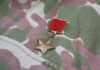 A military medal displayed on camouflage fabric