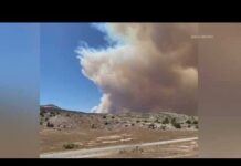 4th wildland firefighter dies after being injured fighting Colorado fire