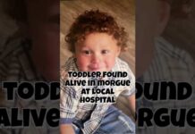 Arizona Toddler Declared Dead was Found Alive in the Rorgue