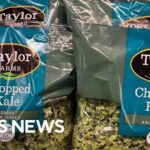 What to know about the cyclosporiasis outbreak as Taylor Farms pulls iceberg lettuce