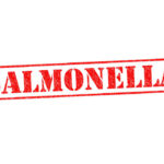 Red stamp with the word 'SALMONELLA' indicating a health warning