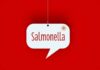 Salmonella Scare Triggers Walmart Alarm Bells Speech bubble with the word Salmonella on red background