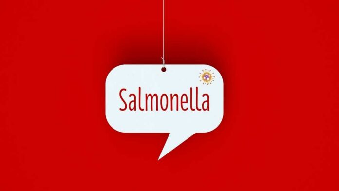 Speech bubble with the word Salmonella on red background