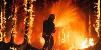 Firefighter spraying water on a raging forest fire at night