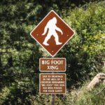 Million-Dollar Bigfoot Bounty Sparks Frenzy