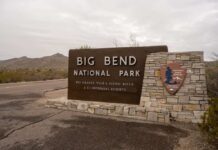 DHS Torches Safeguards, Bulldozers Roll Big Bend National Park entrance sign with stone base in desert landscape