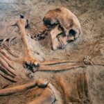 Human skeleton partially unearthed in soil