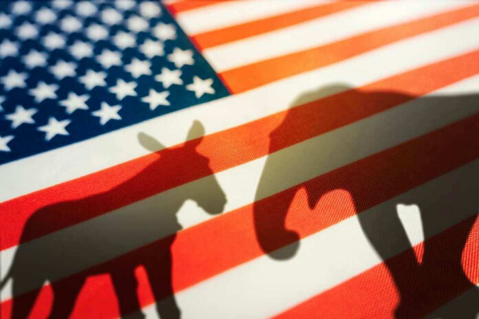 Donkey and elephant shadows on American flag background.